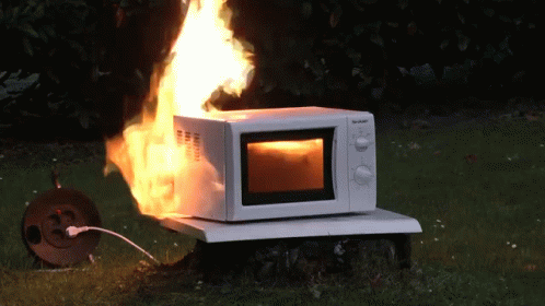 Microwave on fire